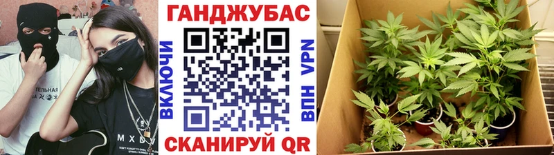 Где можно купить наркотики Чегем ГАШ  МАРИХУАНА  Alpha PVP  Мефедрон  Cocaine 