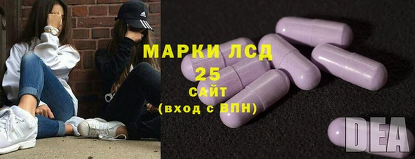 крисы Богородицк