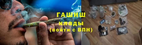 крисы Богородицк
