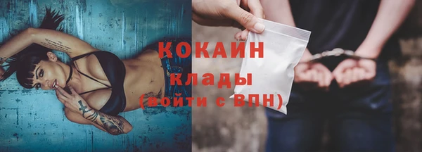 крисы Богородицк
