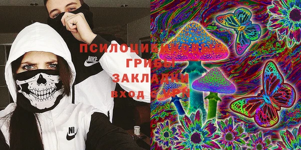 крисы Богородицк