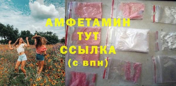 крисы Богородицк