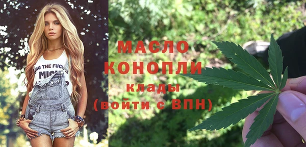 крисы Богородицк