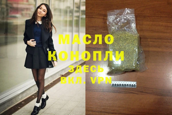 крисы Богородицк