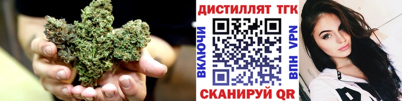 ТГК THC oil  площадка клад  Чегем 