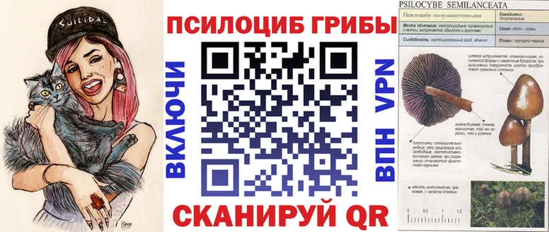 Галлюциногенные грибы Psilocybe  цена   Чегем 